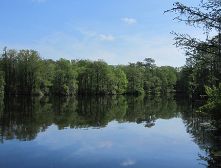 Greenfield Lake at Wilmington NC